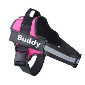 Peitoral K9 Power Personalizado