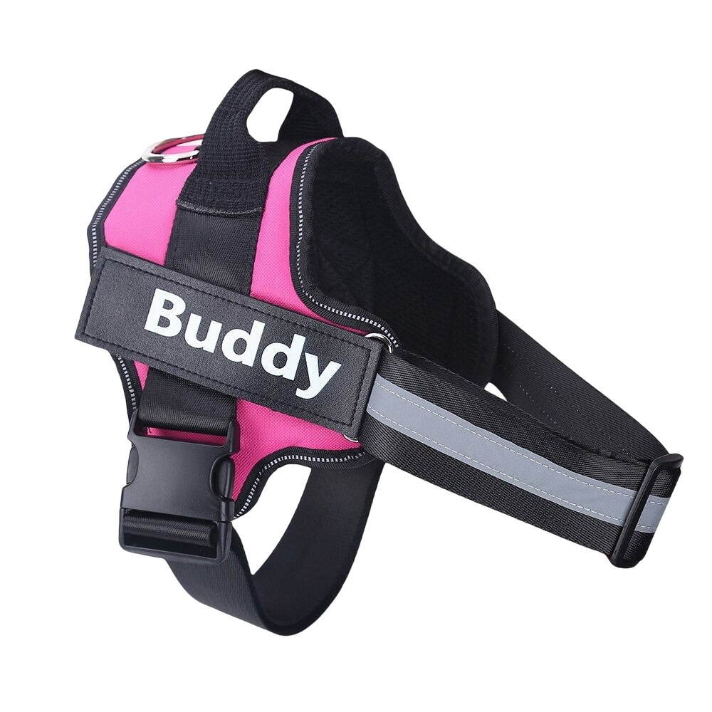 Peitoral K9 Power Personalizado