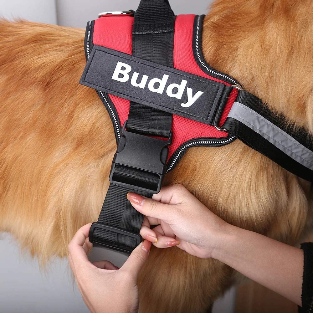 Peitoral K9 Power Personalizado
