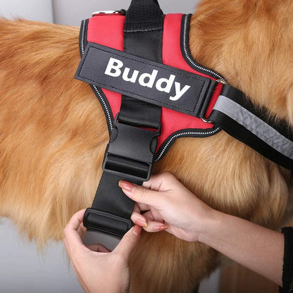 Peitoral K9 Power Personalizado