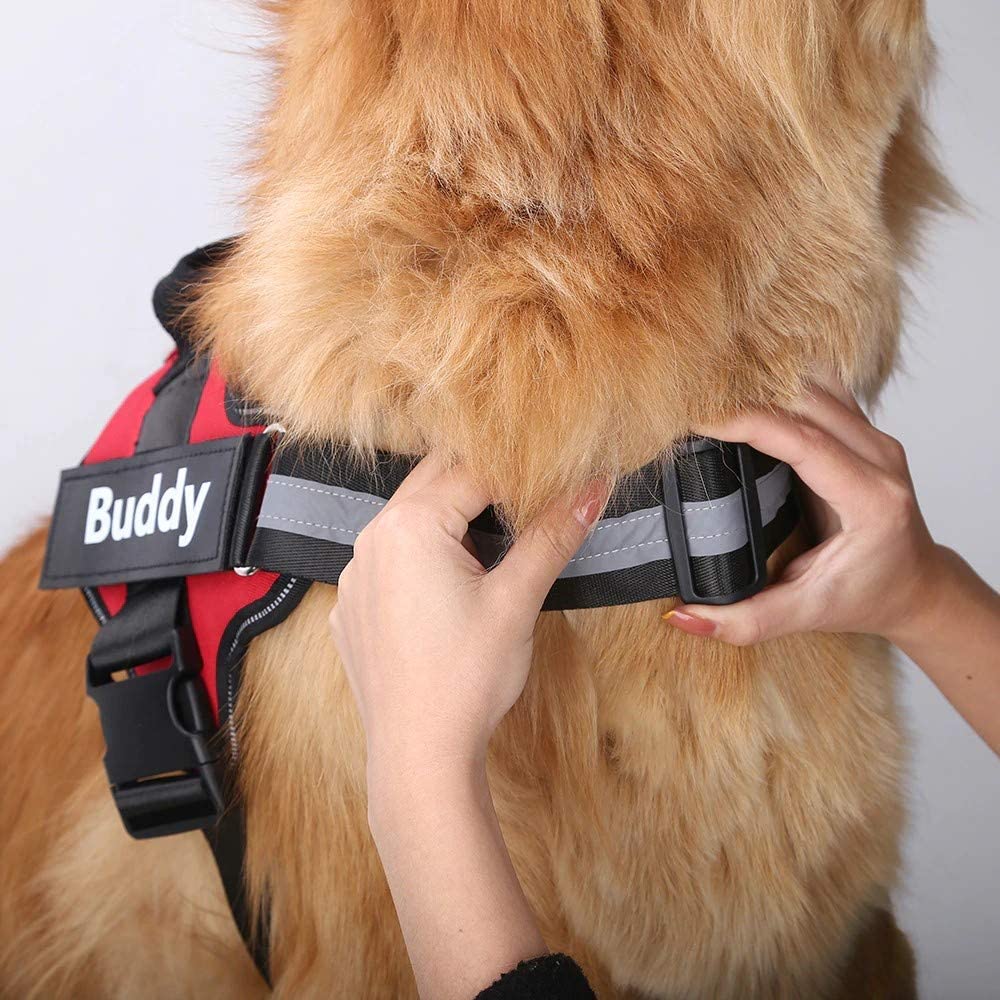 Peitoral K9 Power Personalizado